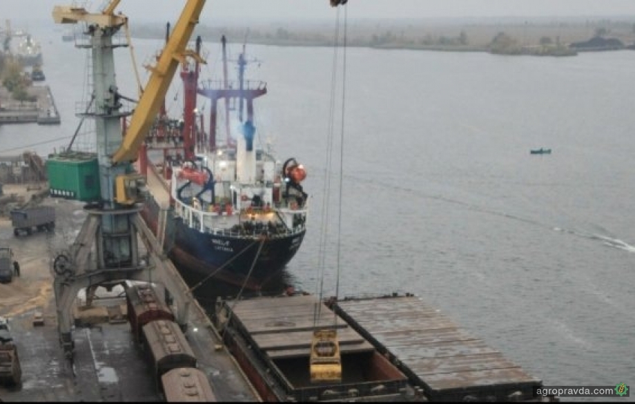 Украина экспортировала более 80% запланированного объема пшеницы Украина экспортировала более 80% запланированного объема пшеницы